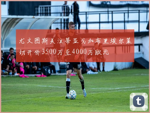 尤文图斯关注蒂亚戈加布里埃尔莱切开价3500万至4000万欧元