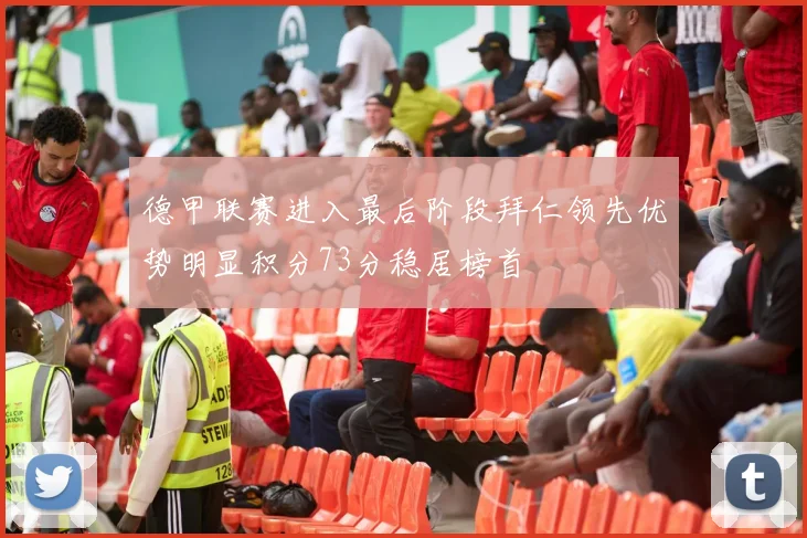 德甲联赛进入最后阶段拜仁领先优势明显积分73分稳居榜首